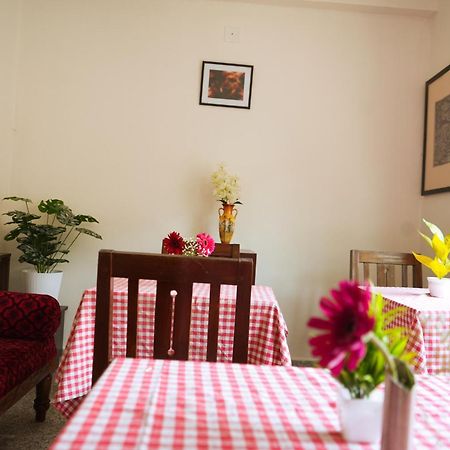 Mother Tree Inn Kochi Bagian luar foto